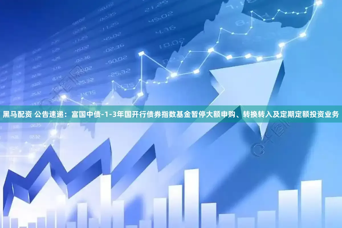 黑马配资 公告速递：富国中债-1-3年国开行债券指数基金暂停大额申购、转换转入及定期定额投资业务