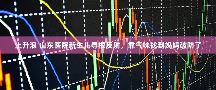 上升浪 山东医院新生儿寻根反射，靠气味找到妈妈破防了