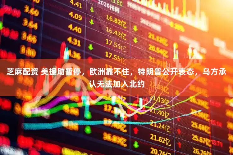 芝麻配资 美援助暂停，欧洲靠不住，特朗普公开表态，乌方承认无法加入北约