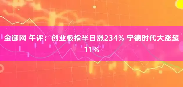 金御网 午评：创业板指半日涨234% 宁德时代大涨超11%
